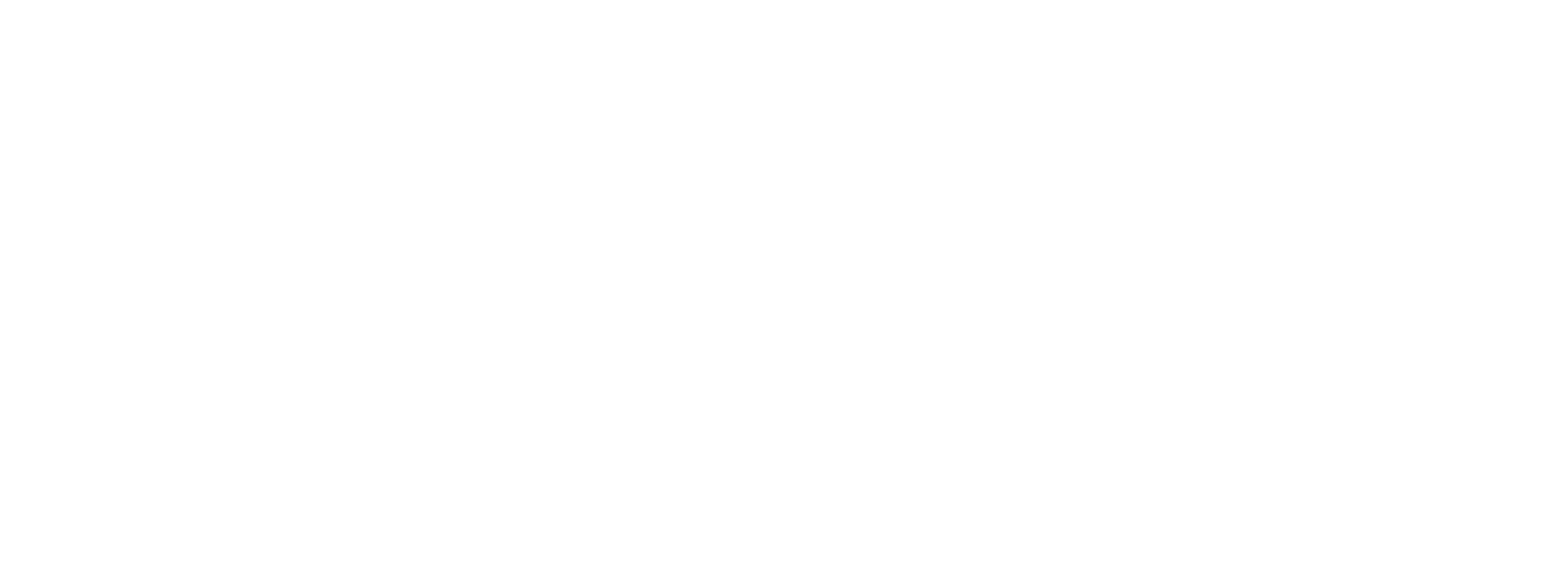 Tech Fox Studios Logo